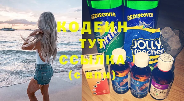 шишки Верея