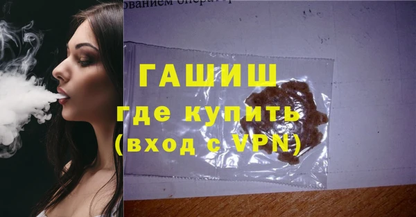 шишки Верея