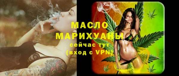 шишки Верея