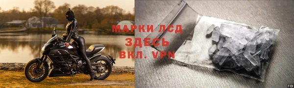 шишки Верея