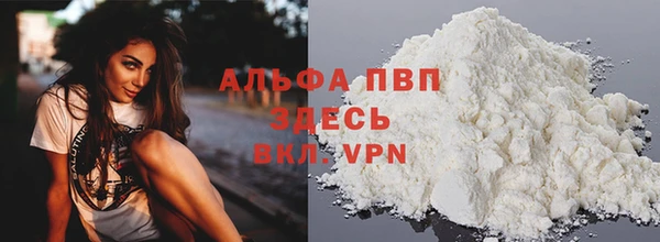 шишки Верея