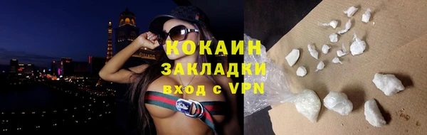 шишки Верея