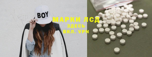 шишки Верея
