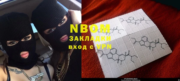 шишки Верея