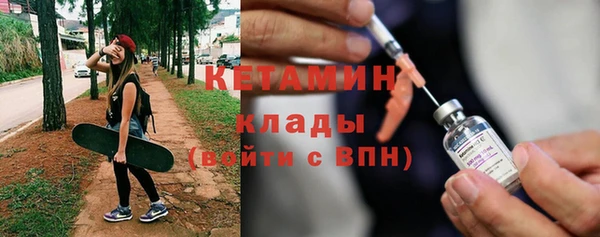 шишки Верея