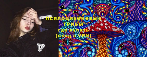 шишки Верея