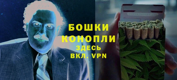шишки Верея