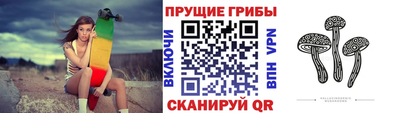 Псилоцибиновые грибы Psilocybe  закладки  Киржач 